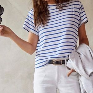 AYR The Sno Cone T-Shirt in White and Blue Stripe